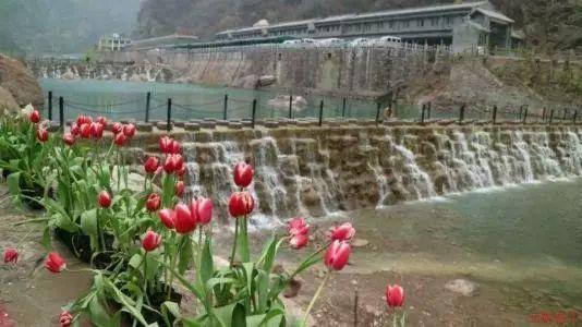 逃离空旷大街