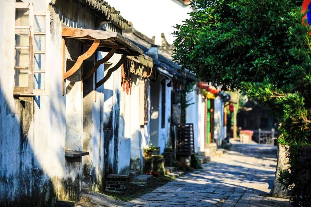 奥沙利文女友批评卡特：“卡特无法与奥沙利文争吵胜出。”